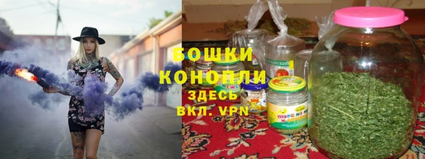 молекула духа Алексин