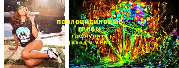 МДПВ Алексеевка