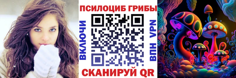 купить   Дедовск  Галлюциногенные грибы Psilocybine cubensis 